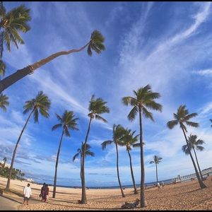 Meet your Posher, Malik